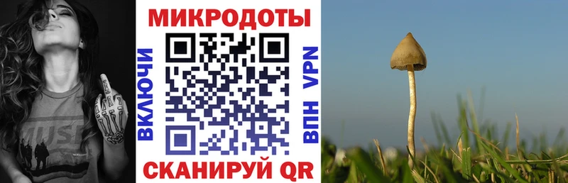 hydra вход  Микунь  Псилоцибиновые грибы Magic Shrooms 